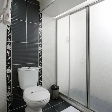 Отель Baskent 3*