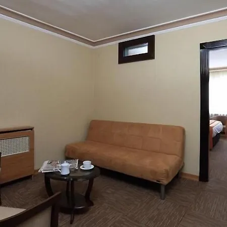 Отель Baskent 3*